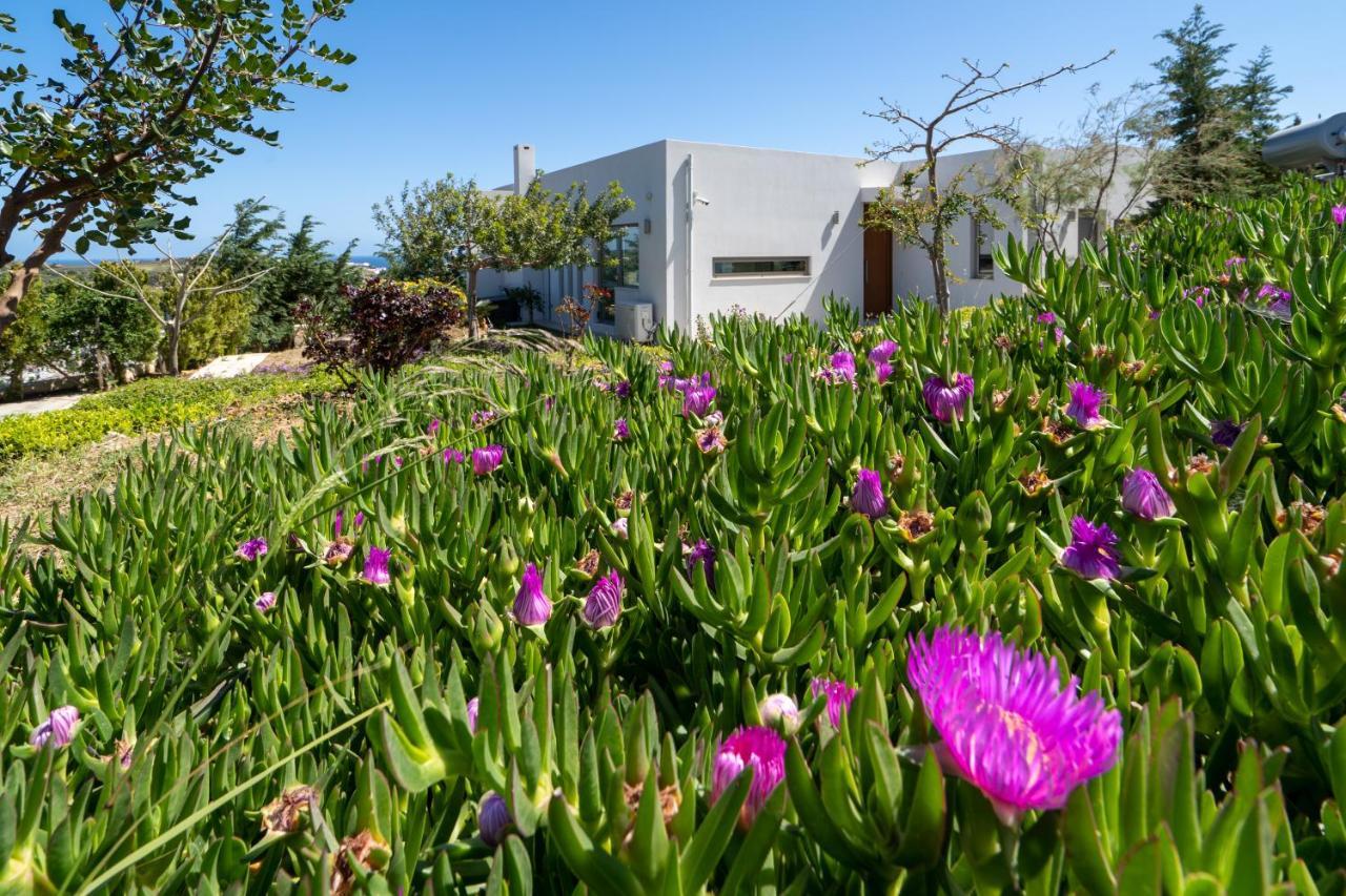 Sea View Villas Ajía Pelajía Kültér fotó